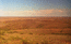 На горизонте Каражал - вид с синих (Фото Семенова О.Л.)
